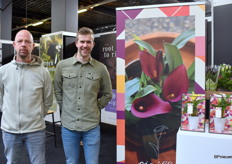 Michel Rikken van Mathijs van den Top met wat extra aandacht voor de Picálla. Een nieuw concept voor de Santedesia in 8 cm pot, beschikbaar in 5 kleuren.